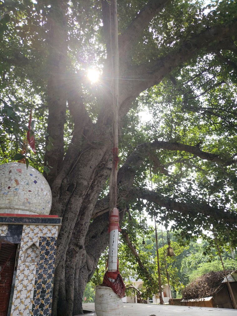 Exterior View, wave city  236 Sq.Yd. Plot In Wave City Ghaziabad 9514109