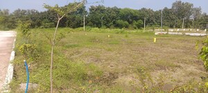  Plot – Garden View at Sultanpur - for Sale