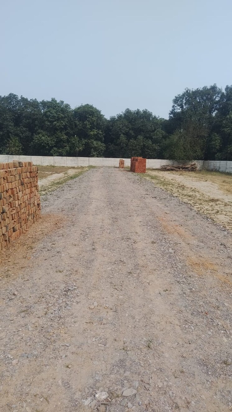 undefined, dadri  100 Sq.Yd. Plot In Dadri Greater Noida 9514273