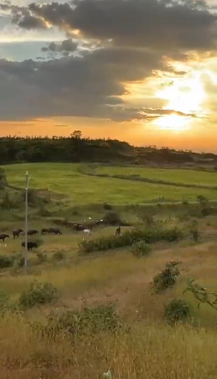 undefined, igatpuri  17 Acre Plot In Igatpuri Nashik 9514394