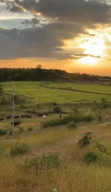 Plot Area in  Plot at Igatpuri – for Sale