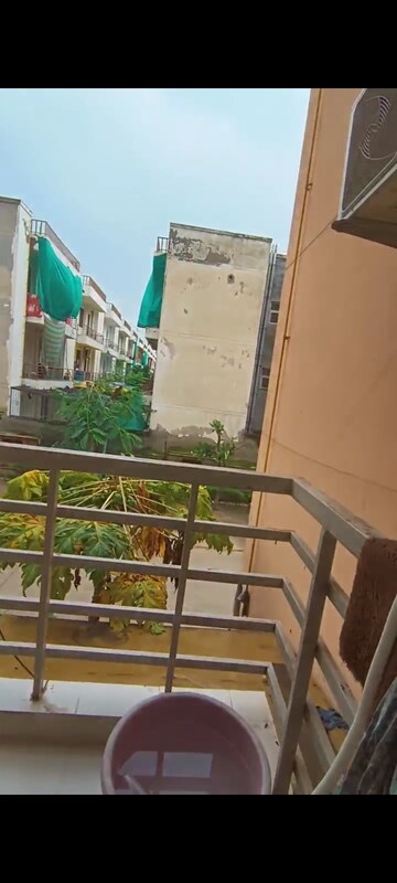 3 BHK Apartment For Rent in Bptp Park Floors I, Sector 77