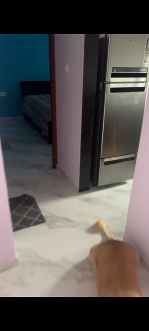 Building Lobby in 2 BHK Apartment at Andheri East – for Rent