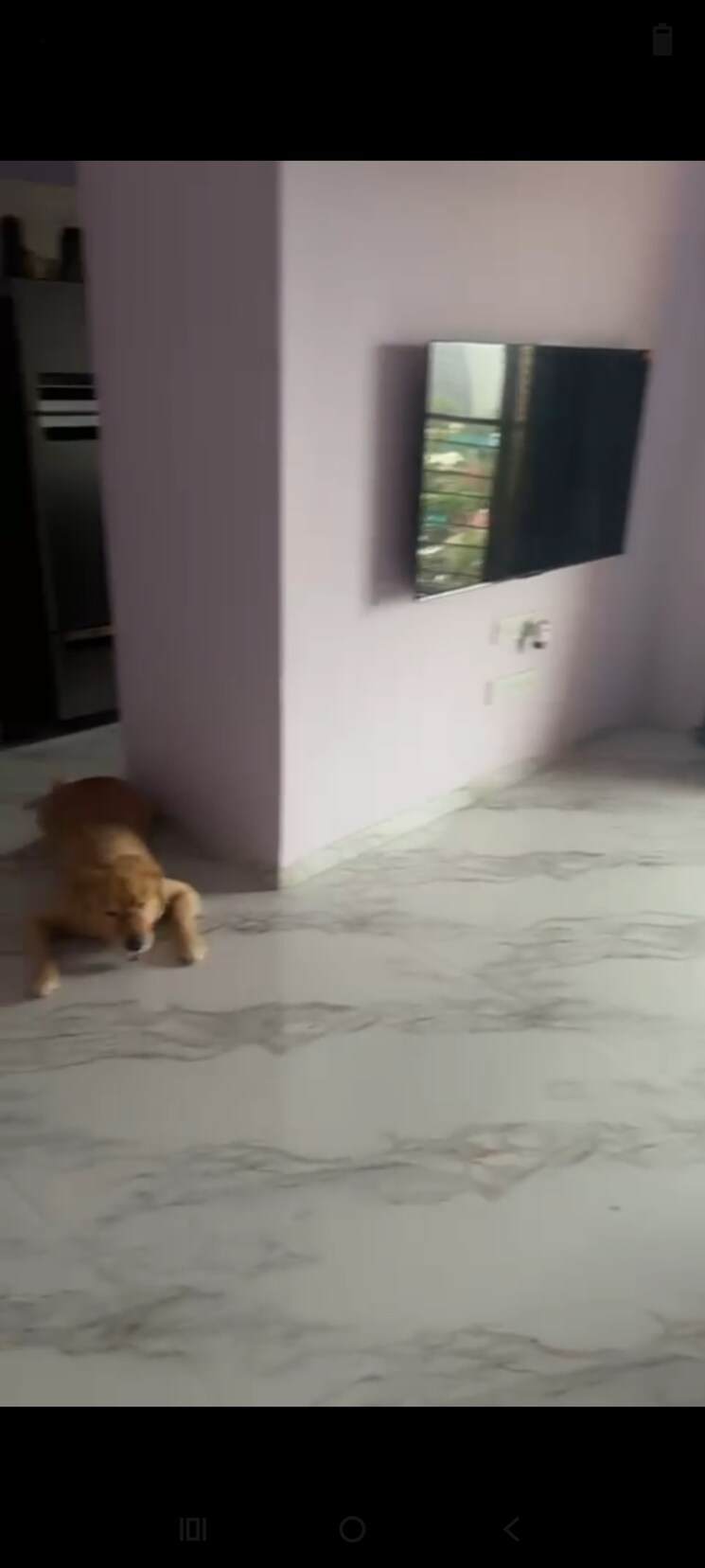 Room, andheri east 2 Bedroom 700 Sq.Ft. Apartment In Andheri East Mumbai 9514378