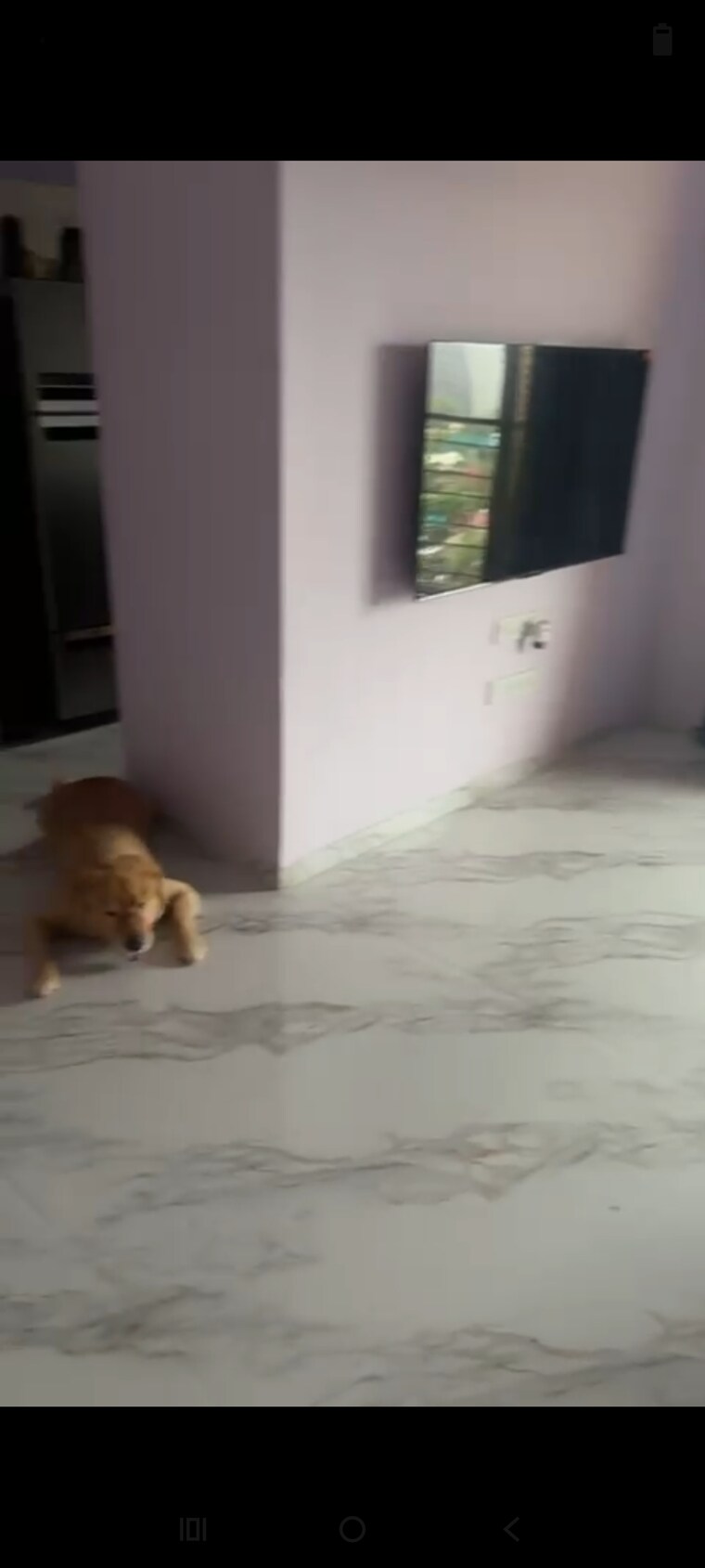 Room, andheri east 2 Bedroom 700 Sq.Ft. Apartment In Andheri East Mumbai 9514378