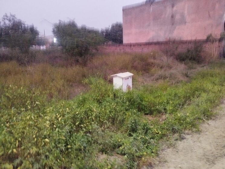 undefined, tronica city  100 Sq.Yd. Plot In Tronica City Ghaziabad 9514476