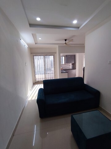 1 BHK Apartment For Rent in Whitefields