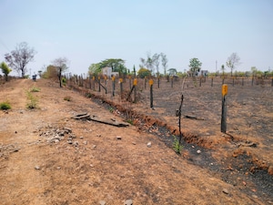 Plot Area in  Plot at Murbad Karjat Road – for Sale