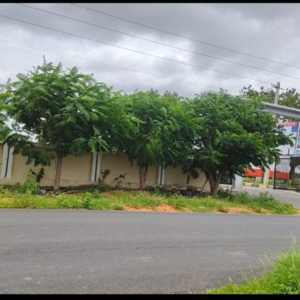  Plot – Garden View at Fortune 18, Amangal - for Sale