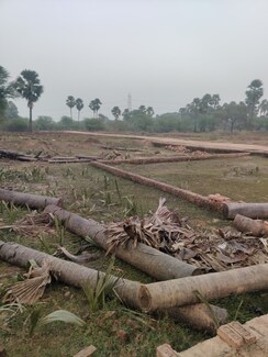 Plot For Sale in Ramnagar
