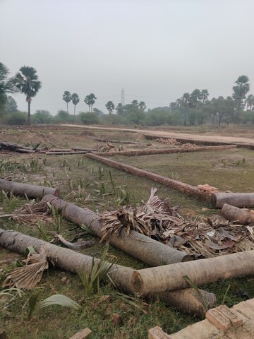  Plot For Sale in Ramnagar