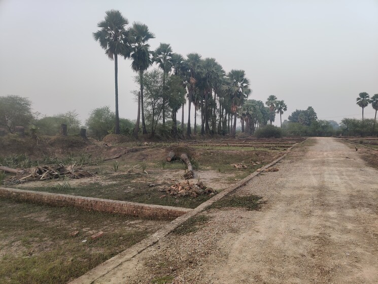 undefined, ramnagar  1360 Sq.Yd. Plot In Ramnagar Varanasi 9514838