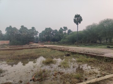 Plot Area in  Plot at Ramnagar – for Sale