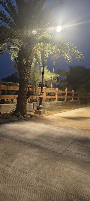  Plot – Exterior View View at Sujanpur - for Sale