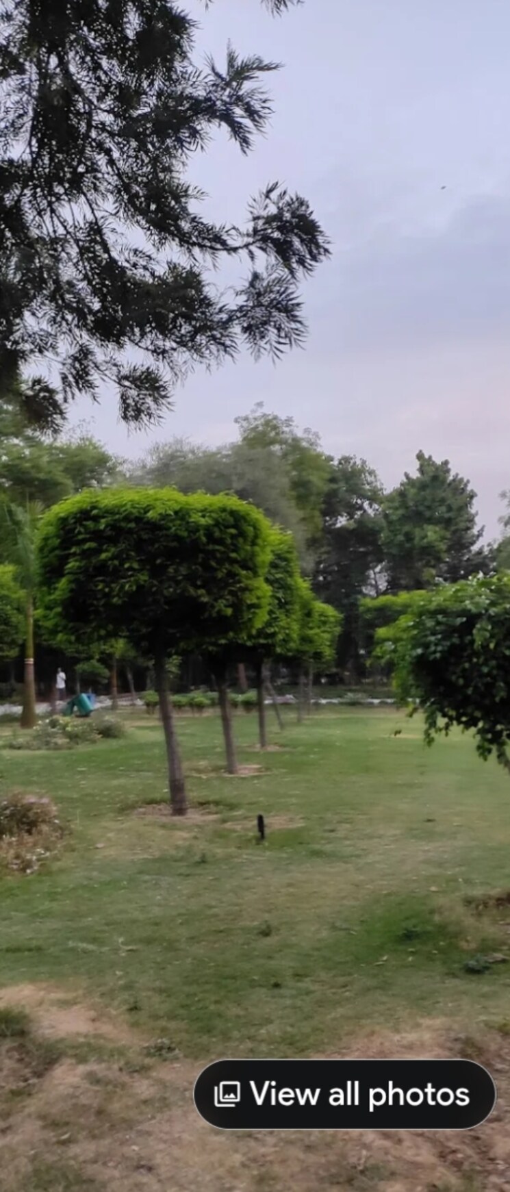 Garden, sector 17 dwarka 2 Bedroom 900 Sq.Ft. Apartment In Sector 17 Dwarka Delhi 9515501