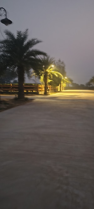  Plot – Exterior View View at Sujanpur - for Sale