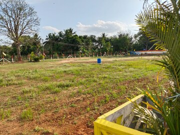  Plot – Exterior View View at Arulanada Nagar - for Sale