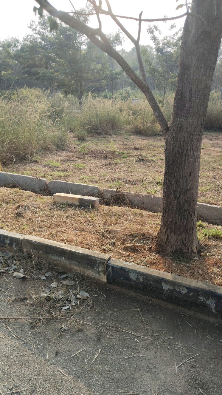 undefined, chandapura  1200 Sq.Ft. Plot In Chandapura Bangalore 9515762