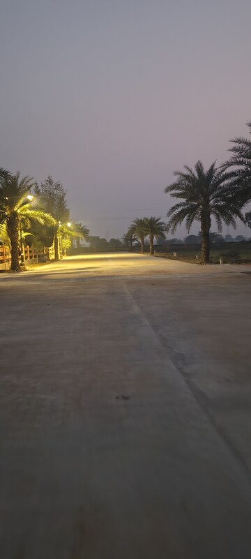  Plot – Exterior View View at Sujanpur - for Sale