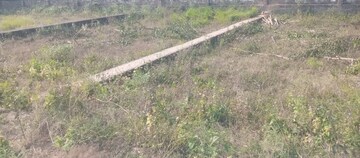 Plot Area in  Plot at Motiram Adda – for Sale
