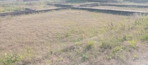 Plot Area in  Plot at Motiram Adda – for Sale
