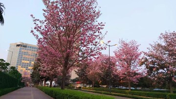 2.5 BHK Apartment – Garden View at Bhartiya Nikoo Homes, Thanisandra Main Road - for Rent