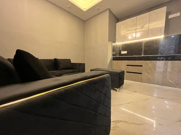 Living Room, freedom fighters enclave 1 Bedroom 550 Sq.Ft. Apartment In Freedom Fighters Enclave Delhi 9516768