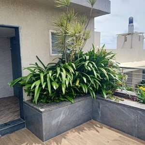 Balcony in 2 BHK Apartment at Sumadhura Essenza, Hosur Road – for Sale