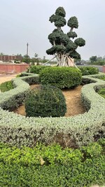 4 BHK 1500 Sq.Ft. Villa in BBD Green City