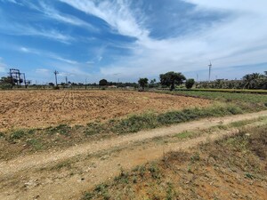  Land For Sale in Mettuvavi