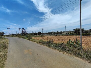 Plot Area in  Land at Mettuvavi – for Sale