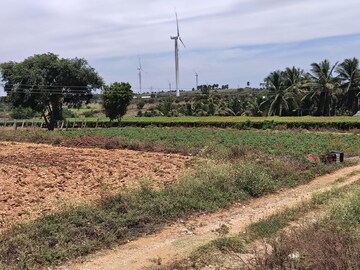 Plot Area in  Land at Mettuvavi – for Sale