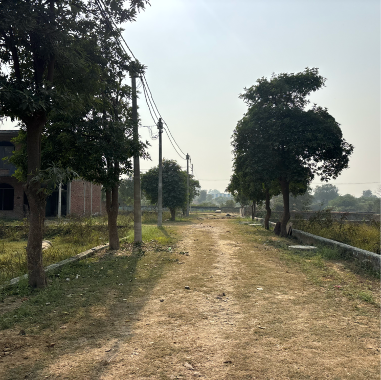 undefined, dankaur-inner-township  100 Sq.Yd. Plot In Dankaur Greater Noida 9518739