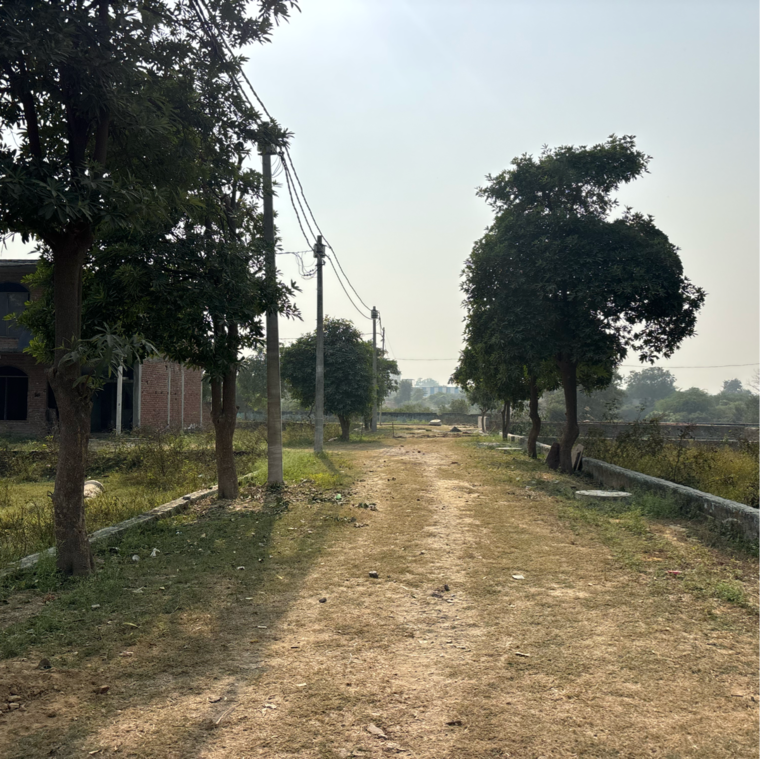 undefined, dankaur-inner-township  100 Sq.Yd. Plot In Dankaur Greater Noida 9518739