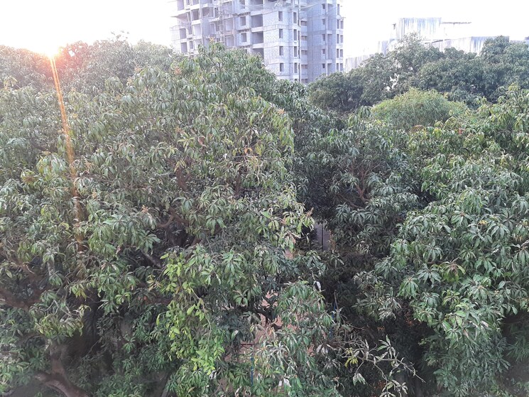 Garden, calyx-artemis 2 Bedroom 631 Sq.Ft. Apartment In Sinhagad Pune 9518744