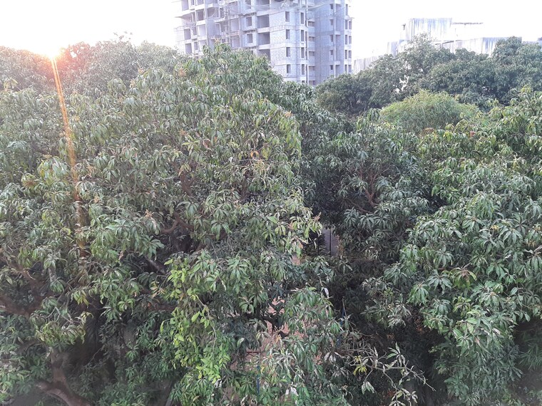 Garden, calyx-artemis 2 Bedroom 631 Sq.Ft. Apartment In Sinhagad Pune 9518744