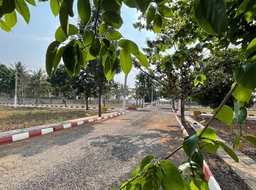  Plot – Exterior View View at Hoskote - for Sale