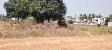 Plot Area in  Land at Jayanagar – for Sale