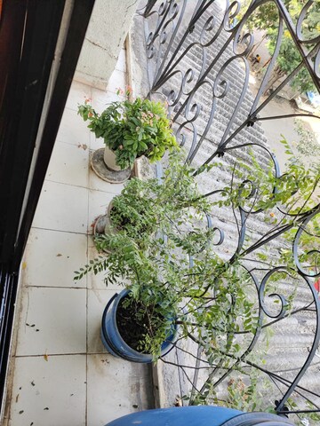 Balcony in 2 BHK Apartment at Swaran Hans Tower, Morya Nagar – for Sale