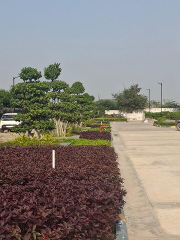 Plot Area in 1 BHK Apartment at Earthcon Beetle Orchid, Knowledge Park 3 Greater Noida – for Sale