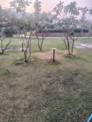 3 BHK Apartment – Exterior View View at Godrej South Estate Okhla, Okhla - for Sale