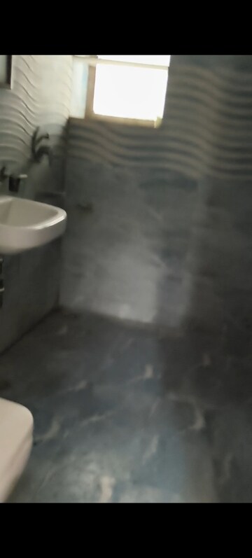Bathroom in 3 BHK Apartment at Ip Extension – for Rent