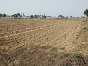 Plot Area in  Land at Pataudi – for Sale