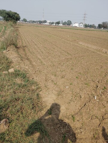 Plot Area in  Land at Pataudi – for Sale