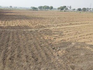 Plot Area in  Land at Pataudi – for Sale