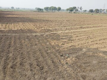 Plot Area in  Land at Pataudi – for Sale