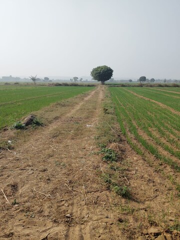 Plot Area in  Land at Pataudi – for Sale