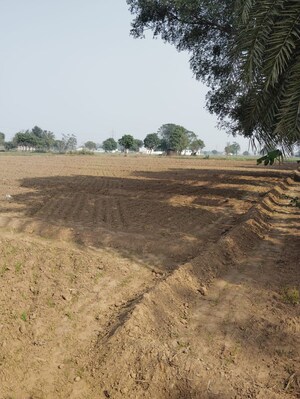 Plot Area in  Land at Pataudi – for Sale