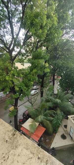 1 BHK Apartment – Garden View at Hiranandani Gardens Canna, Powai - for Rent