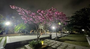 4 BHK Villa – Garden View at Keerthi Estates Richmond Villas, Bandlaguda Jagir - for Sale